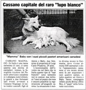 Leggi l'articolo che ci ha dedicato la Prealpina. 